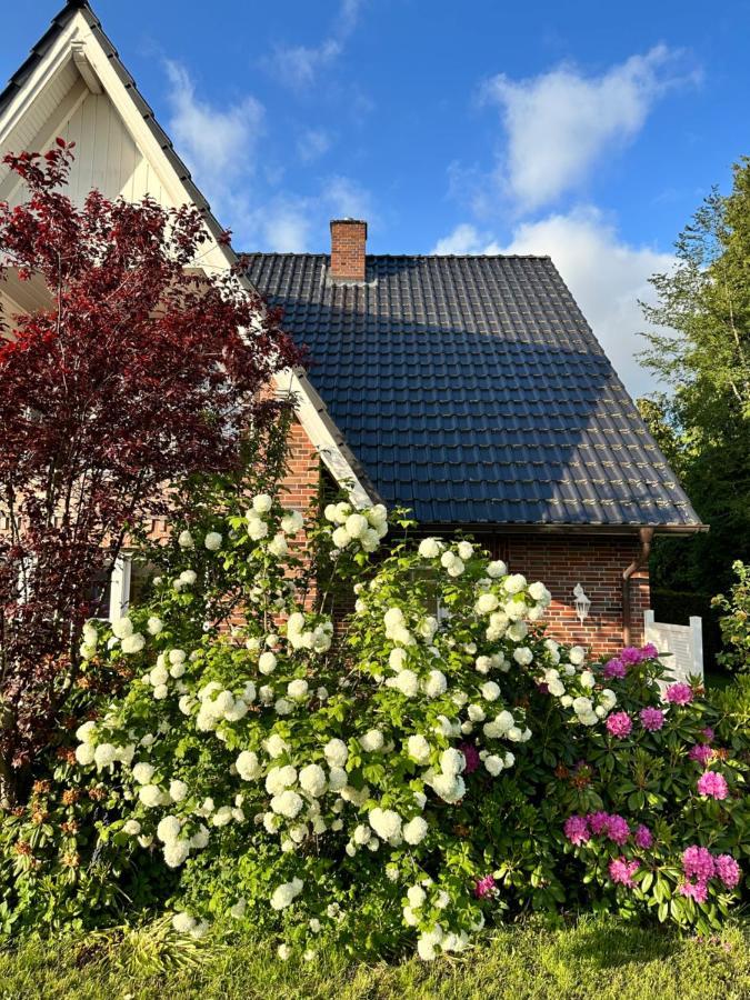 Louf Lägenhet Wiesmoor Exteriör bild